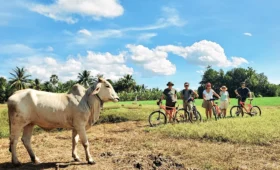 Discover Cambodia Countryside