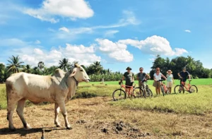 Discover Cambodia Countryside