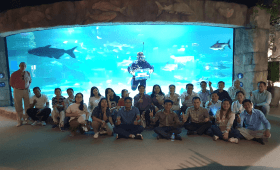 Angkor Aquarium