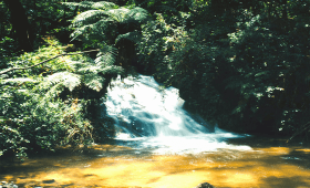 Pich Chenda Waterfall Battambang