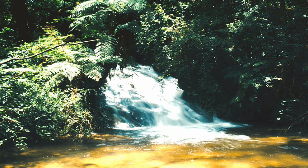 Pich Chenda Waterfall Battambang