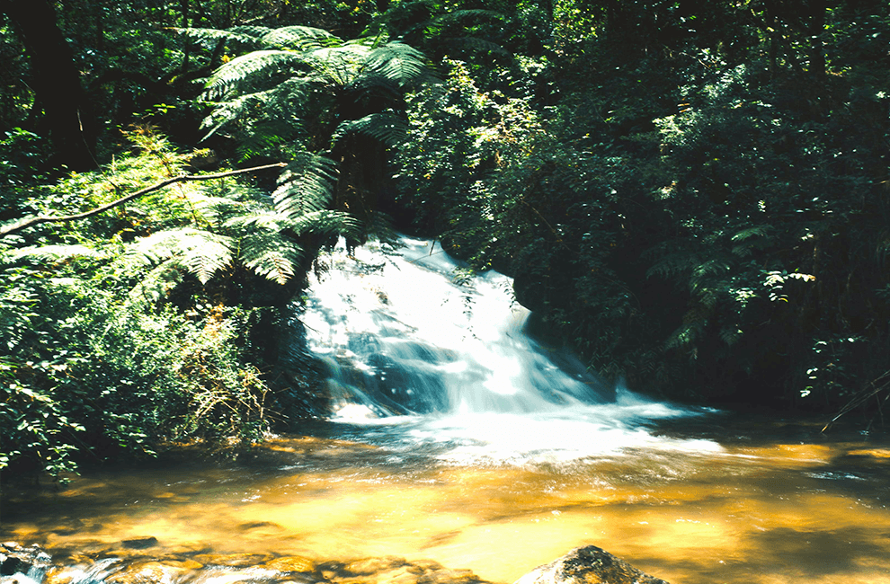 Pich Chenda Waterfall Battambang