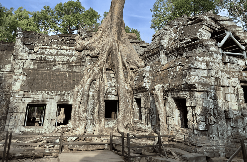 Siem Reap Travel Guide: 13 BEST Things To Do In Siem Reap 2 Prasat Ta Prohm Temple in Siem Reap