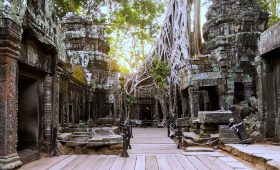 Best Siem Reap Tours