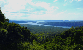 Cardamom Mountain Travel