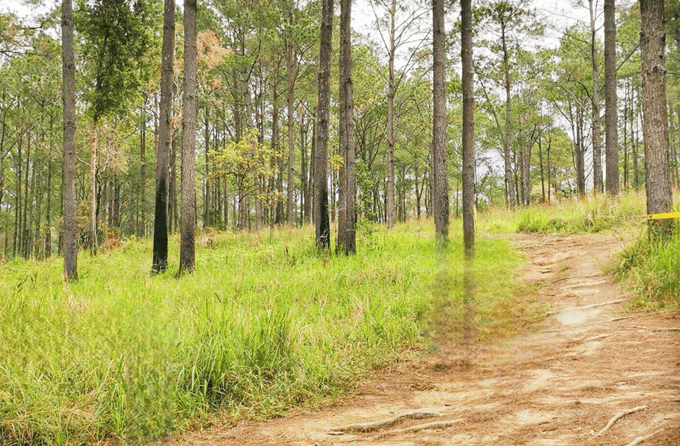 Kirirom National Park