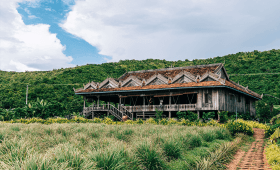 La Plantation Kampot
