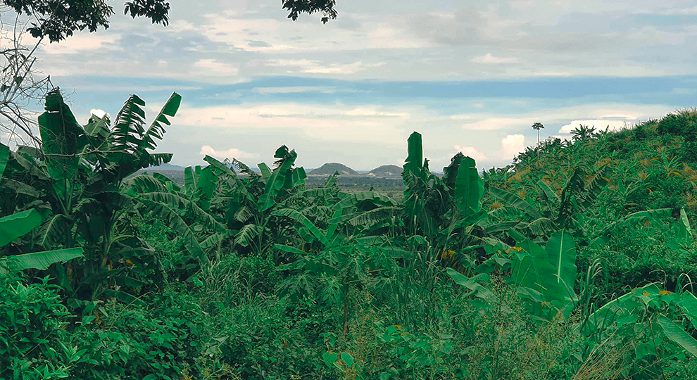 Phnom Prey Khmer Resort