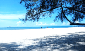 Ream National Park Tour