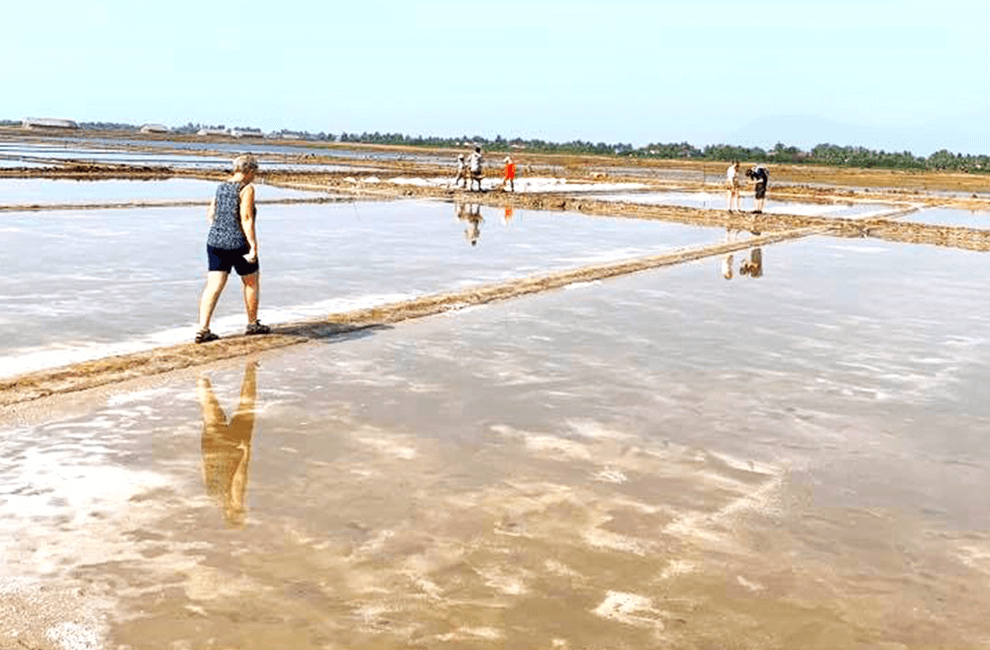 Salt Fields in Kep Province 3 Salt fields