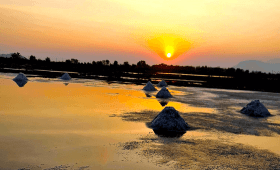 Salt fields