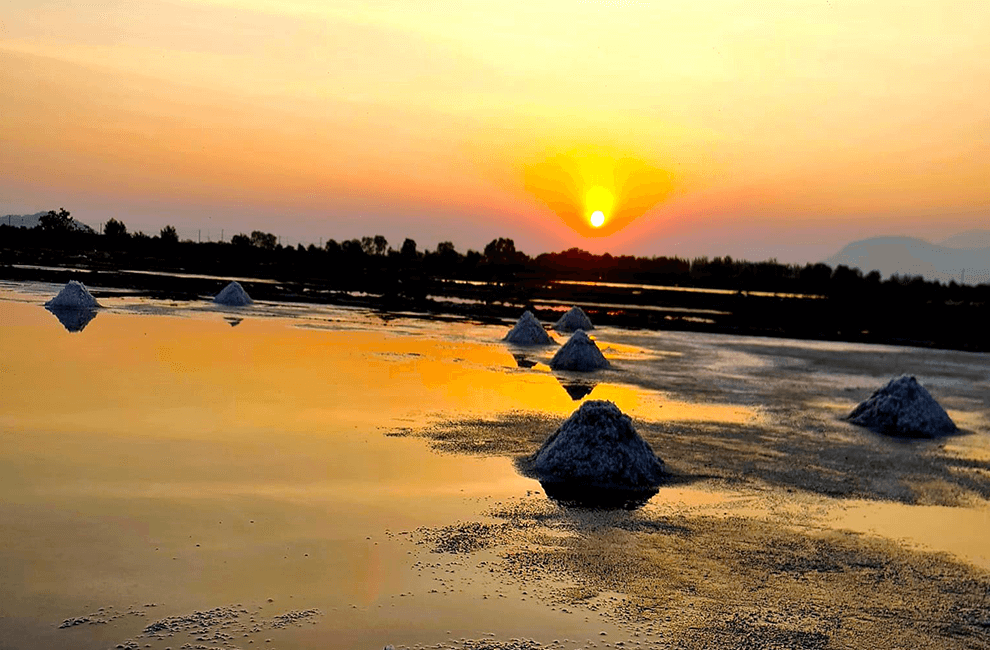 Salt fields