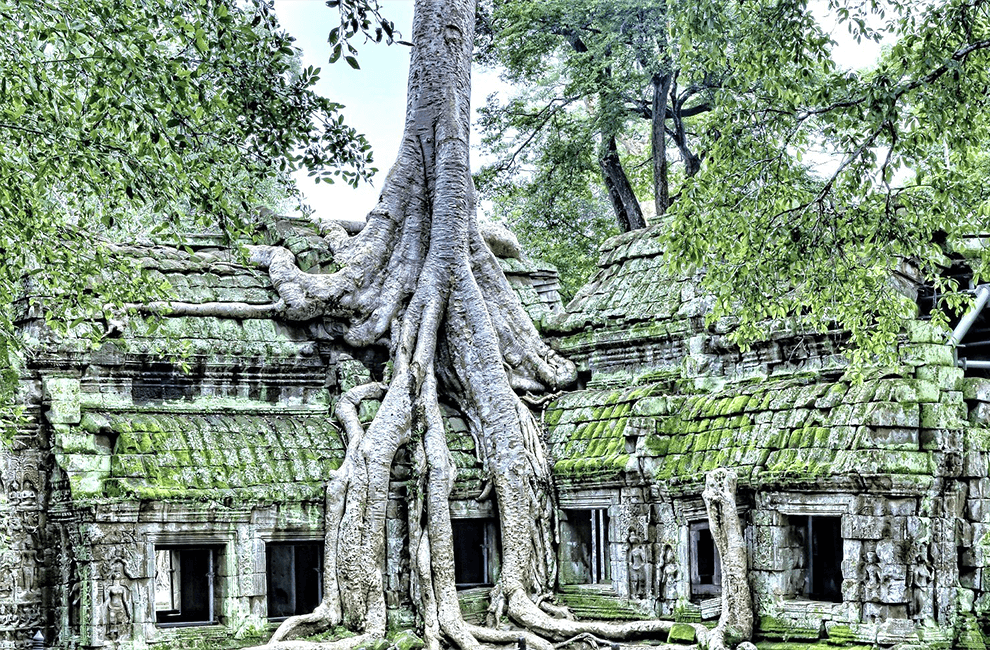 10 Things to Do in Siem Reap 4 Ta Prom Temple