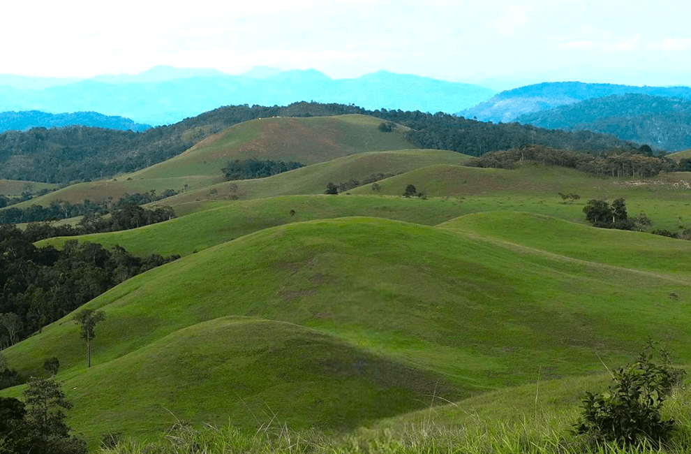 Virachey National Park