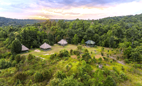 Wildlife Release Koh Kong