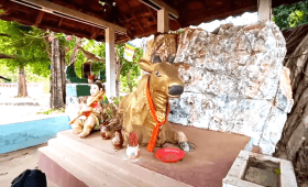 Phnom Penh in Kratie