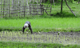 Beyond Temple Travel Activities