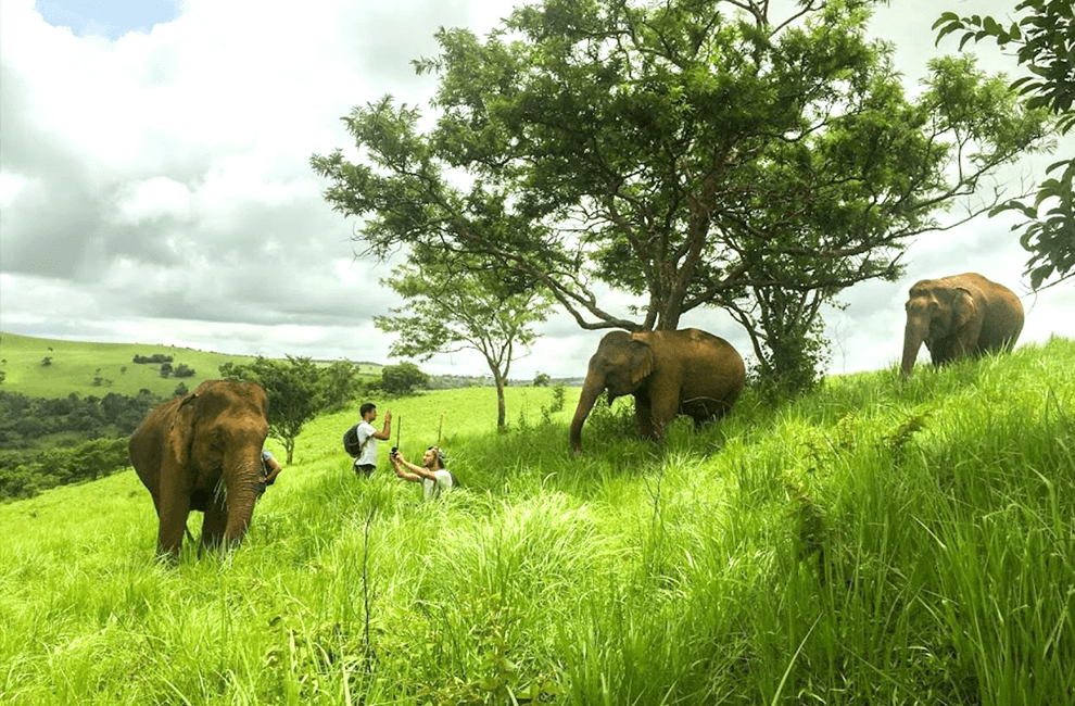 Mondulkiri Elephant Wildlife Sanctuary: LEAF Cambodia 2 Elephant Wildlife Sanctuary