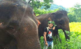 Elephant Wildlife Sanctuary