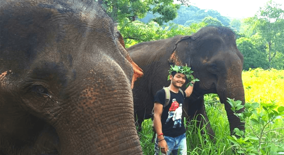 Elephant Wildlife Sanctuary