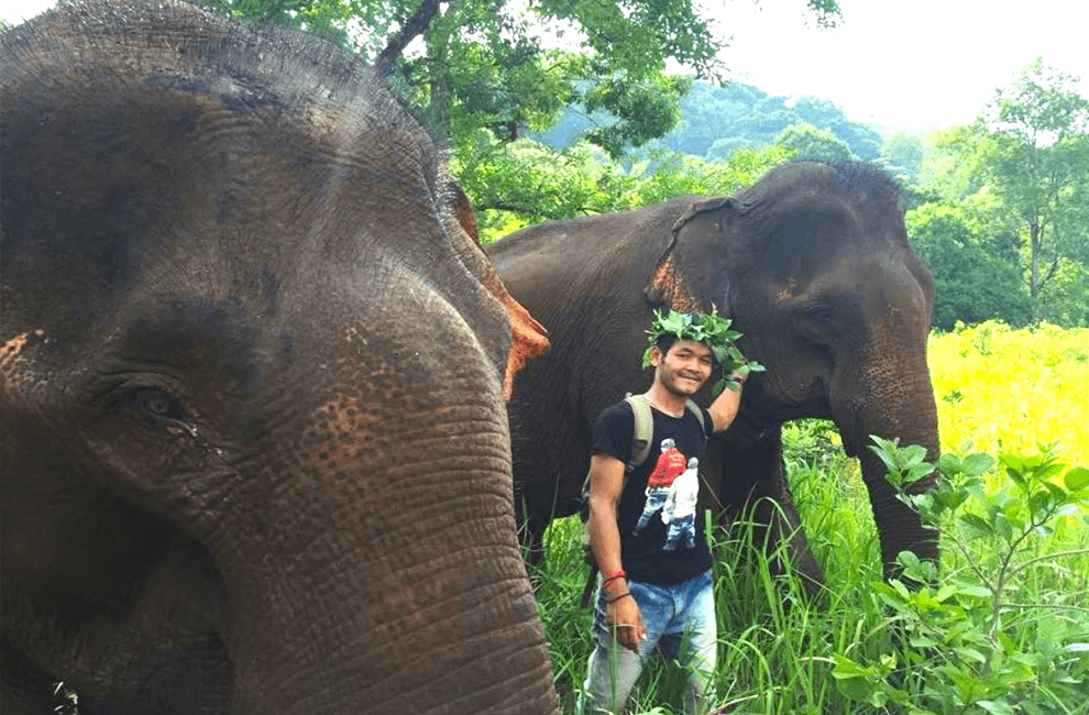 Elephant Wildlife Sanctuary