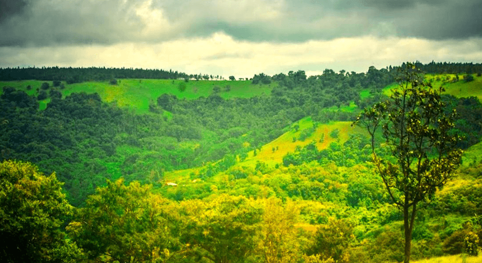 Phnom Kraol Cultural Resort