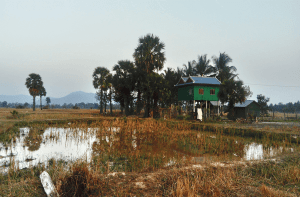 Beyond Temple Travel Activities