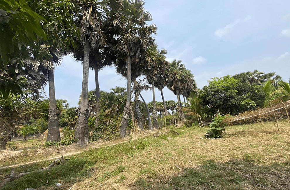 How to visit Angkor Wat: Good Explaining 4 Cambodia Countryside