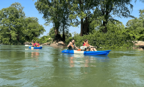 Things to do in Kratie Province