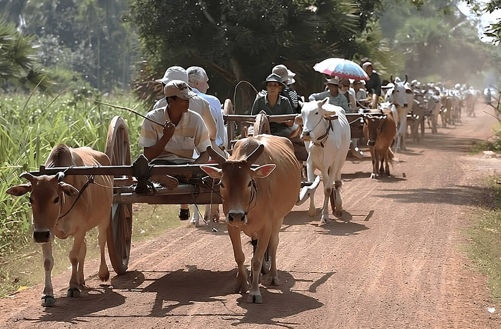 Cambodian Ox Cart