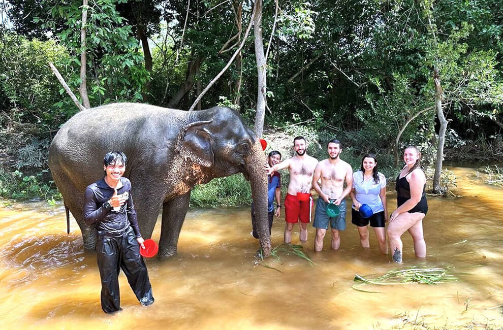 Cambodia Elephant Sanctuary: A Haven for Rescued Elephants 2 Cambodia Elephant Sanctuary A Haven for Rescued Elephants