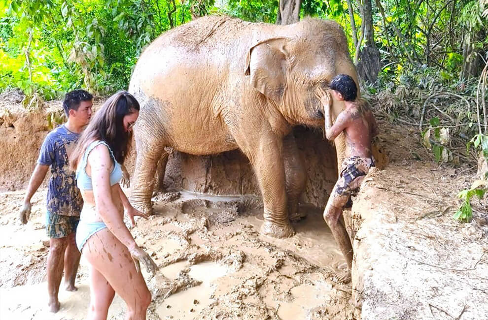 Cambodia Elephant Sanctuary: A Haven for Rescued Elephants 7 Cambodia Elephant Sanctuary, Rescued Elephants