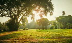 Siem Reap Travel Guide, 13 BEST Things To Do In Siem Reap