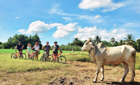 Best Bike Adventure Destinations for Every Season in Cambodia