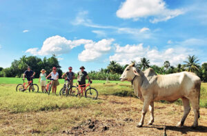 Best Bike Adventure Destinations for Every Season in Cambodia
