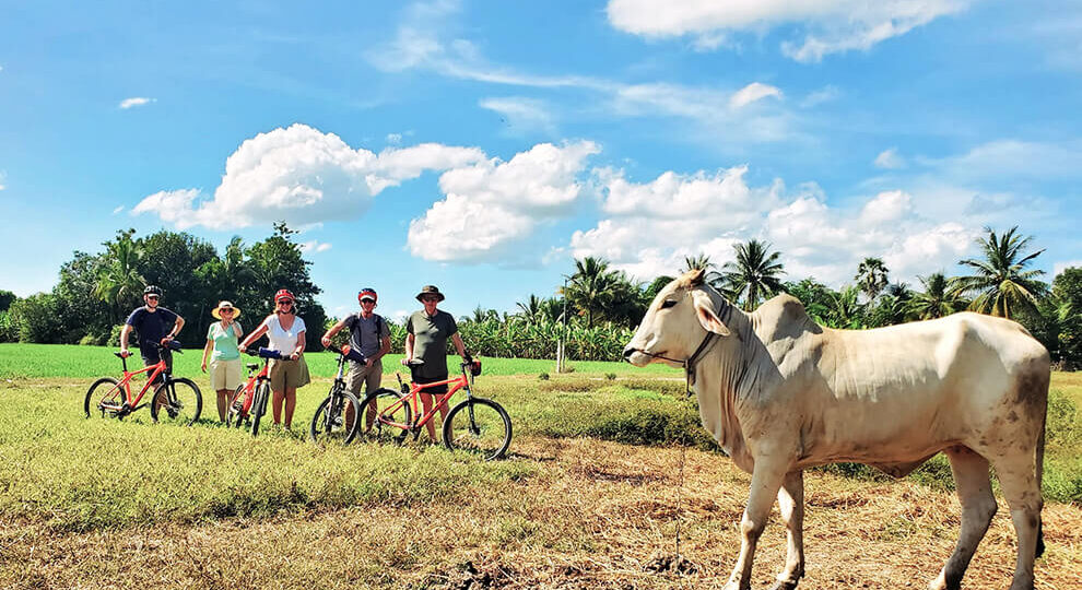 Best Bike Adventure Destinations for Every Season in Cambodia