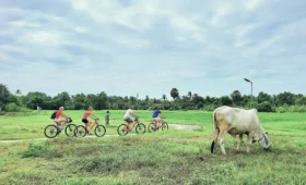 Bicycle Adventure Stories