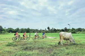 Bicycle Adventure Stories