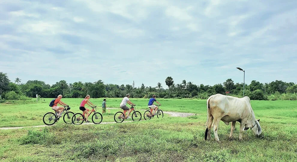 Bicycle Adventure Stories