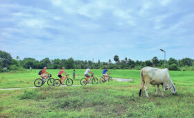 Bike Adventure Guide, Explore Cambodia on Two Wheels