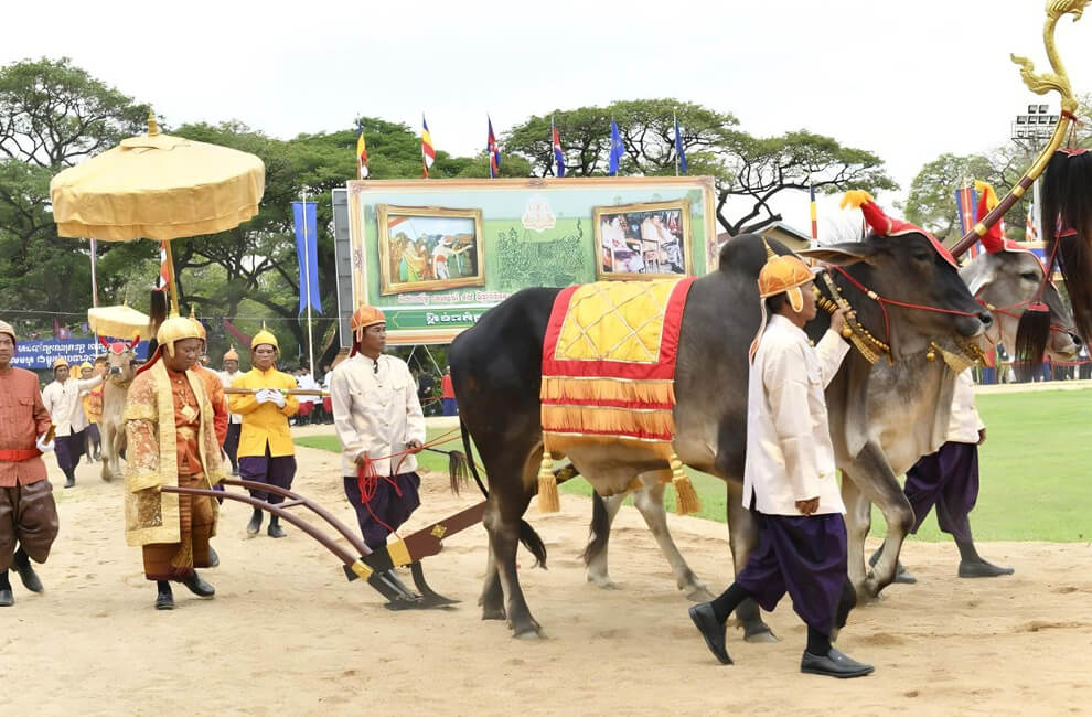 Royal Ploughing Ceremony in Cambodia