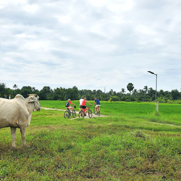 Bicycle Adventure Tips