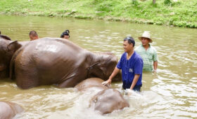 Sustainable Local Travel in Cambodia