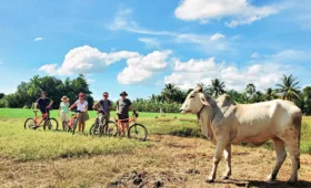 How to Plan the Perfect Bike Adventure in Cambodia