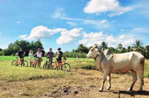 How to Plan the Perfect Bike Adventure in Cambodia