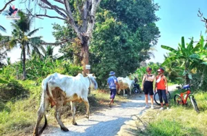 Top Bike Adventure Challenges in Siem Reap, Battambang, Phnom Penh