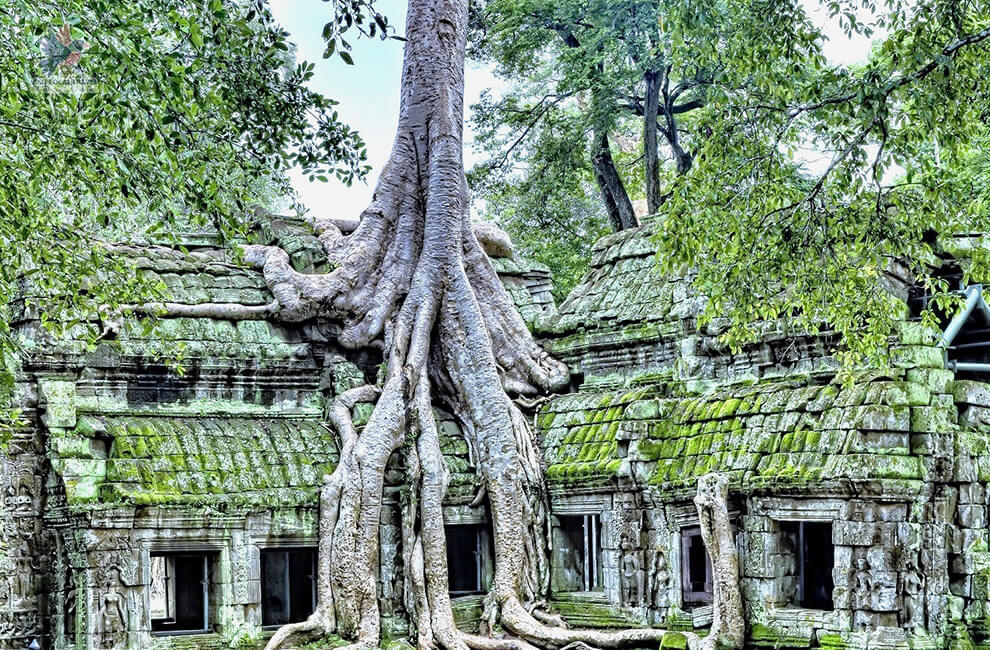 Ta Prohm Temple, Siem Reap, Cambodia