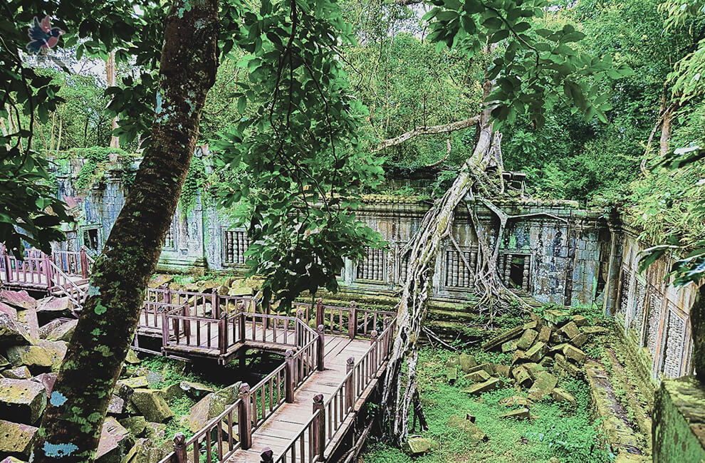 Beng Mealea Temple Tour