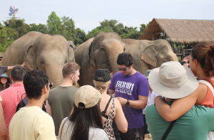 Two-Day Journey Through Siem Reap