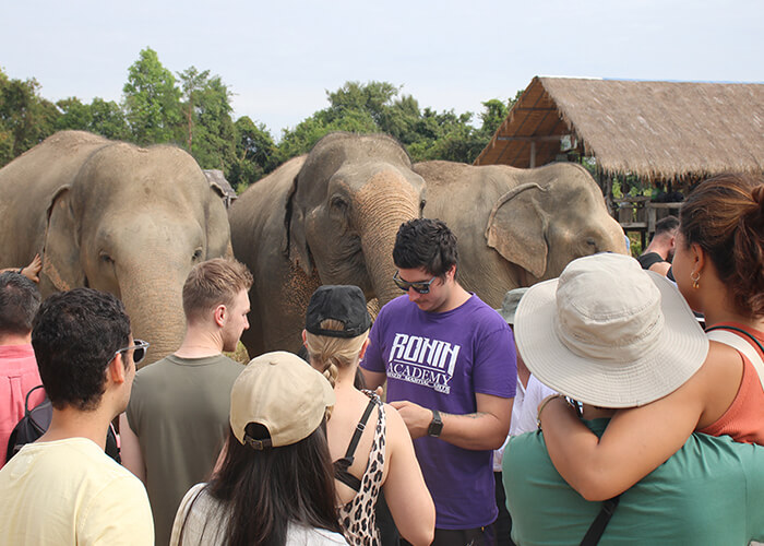 Nature & Wildlife Tours